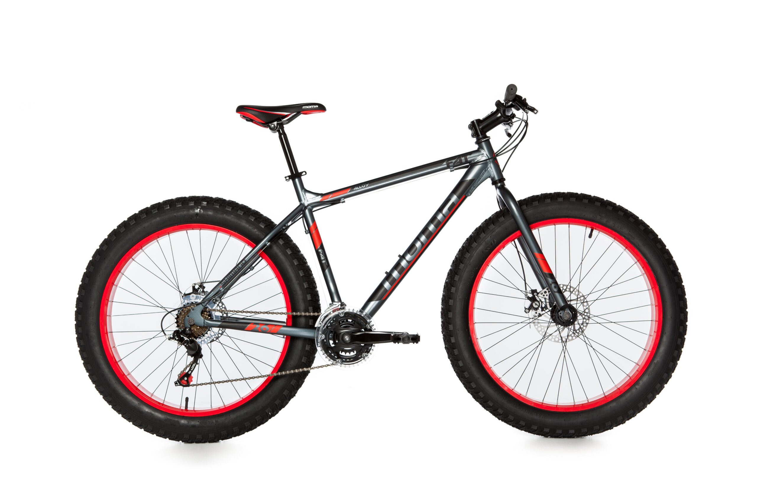 Bicicleta Fat Bike