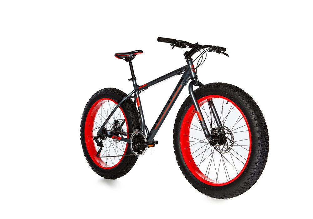 Bicicleta Fat Bike - Imagen 2