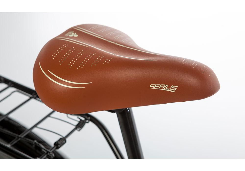 Bicicleta da Cidade Holanda - Imagen 5