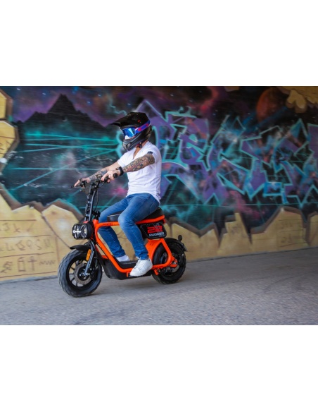 Mini Scooter eléctrico - Imagen 17