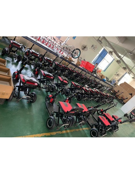 DEVO - patinete eléctrico 3 ruedas 300/600 vatios para pmr y personas mayores - Imagen 21
