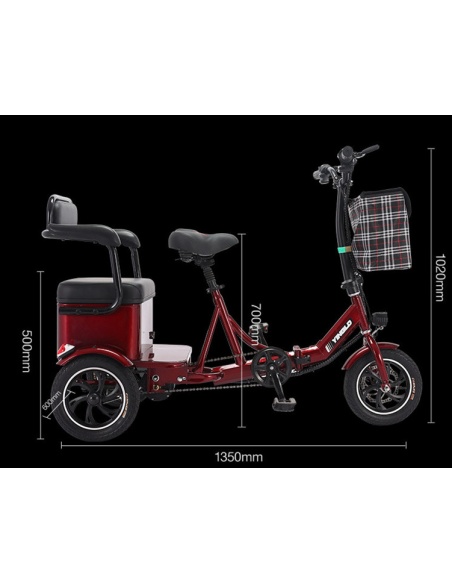 PASS 2 - Triciclo eléctrico de 3 ruedas para 2 personas con pedaleo asistido - Imagen 8