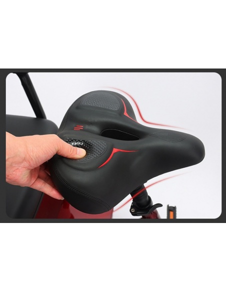 PASS 2 - Triciclo eléctrico de 3 ruedas para 2 personas con pedaleo asistido - Imagen 9