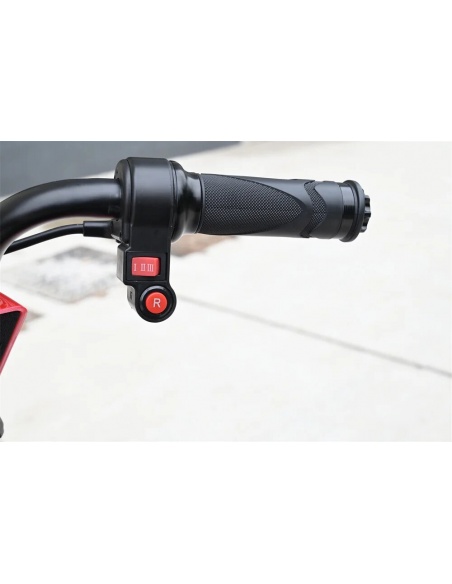 VOYA scooter eléctrico 4 ruedas 500 vatios plegable con mando a distancia para persona mayor - Imagen 17
