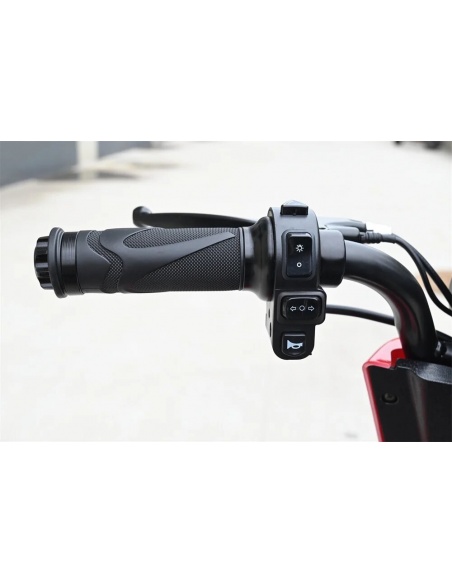 VOYA scooter eléctrico 4 ruedas 500 vatios plegable con mando a distancia para persona mayor - Imagen 19